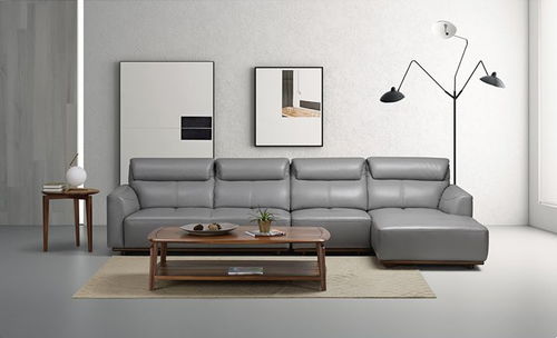 中國家具市場真皮沙發(fā)推薦